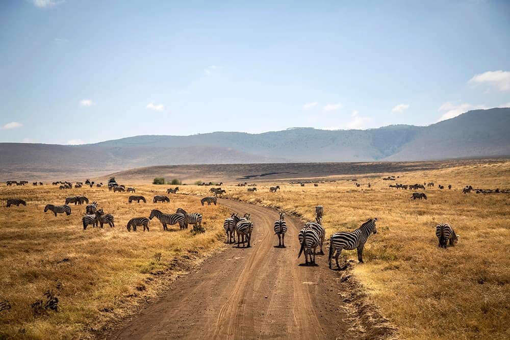 Africa